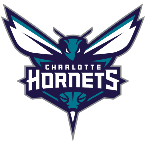 Charlotte Hornets artwork 1