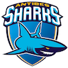 Antibes Sharks