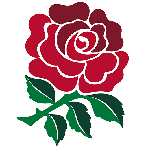 England Rugby artwork 1