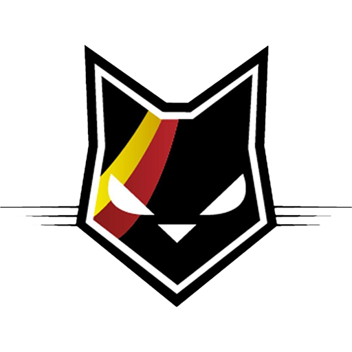 Belgium Basketball Women badge