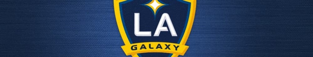 L.A. Galaxy banner