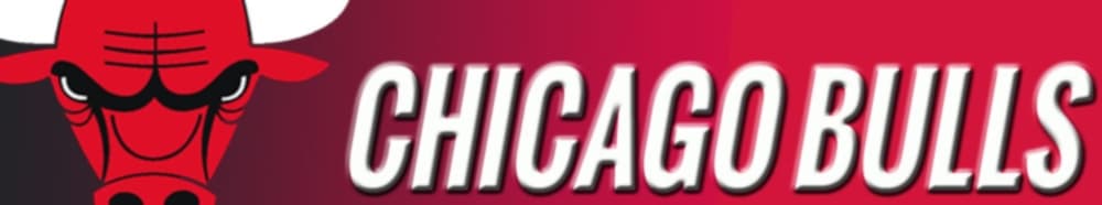 Chicago Bulls banner