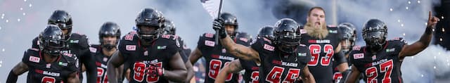 Ottawa Redblacks artwork 4