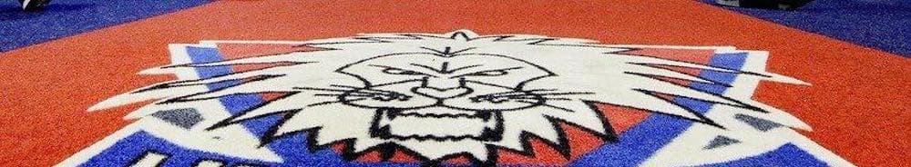 Linköpings HC banner