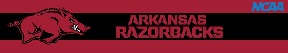 Arkansas banner