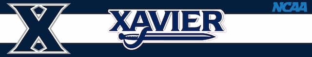 Xavier artwork 3