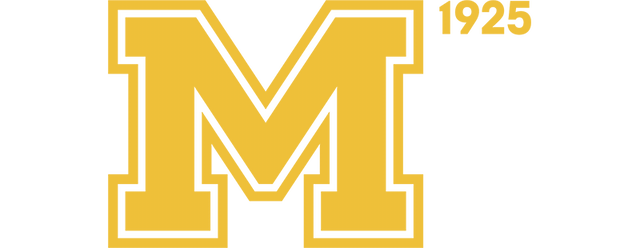 FC Metalist Kharkiv artwork 2