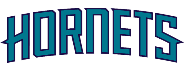 Charlotte Hornets artwork 2