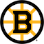 Boston Bruins