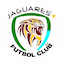 Jaguares de Córdoba