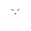 Iron Lynx