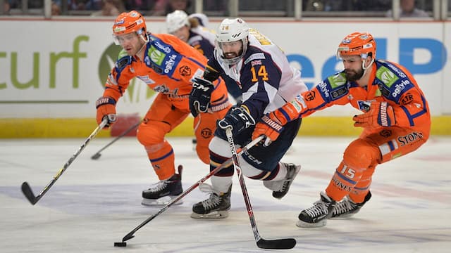 Sheffield Steelers artwork 5