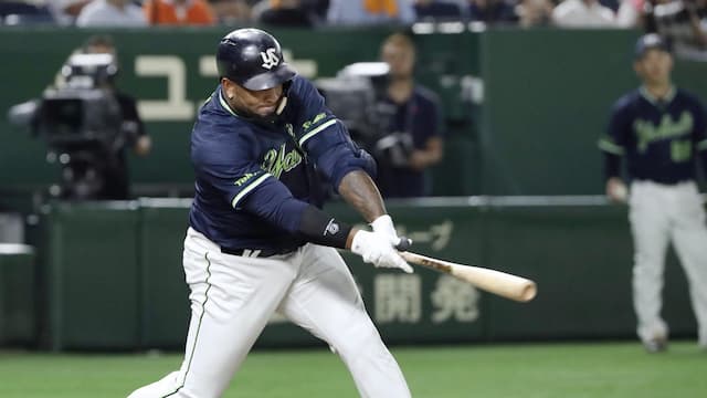 Tokyo Yakult Swallows artwork 6