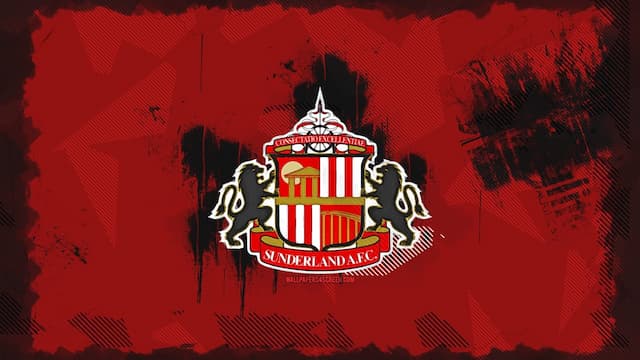 Sunderland artwork 8