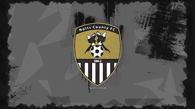 Notts County artwork 8