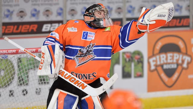 Sheffield Steelers artwork 8