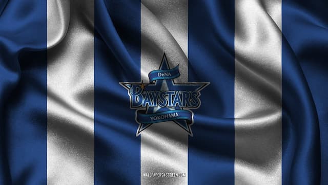 Yokohama DeNA BayStars artwork 8