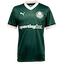 Palmeiras
