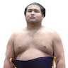 Takayasu Akira