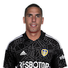 Joel Robles