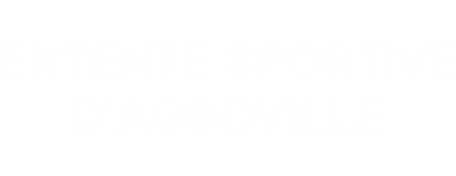 ES Agboville artwork 2