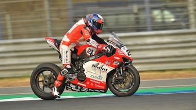 Michael Ruben Rinaldi 5