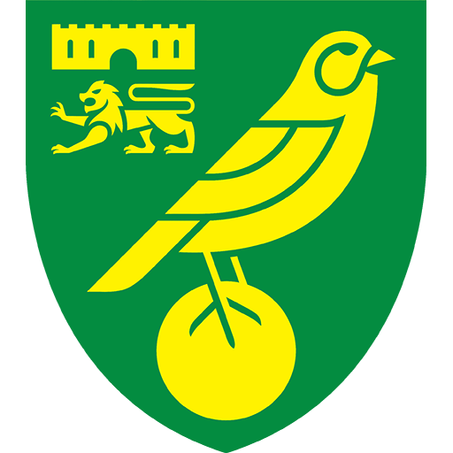 Norwich badge