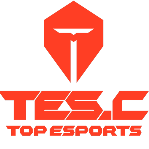 Topsports Gaming artwork 1